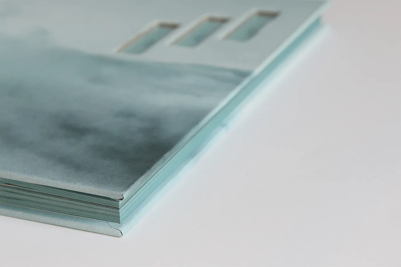 Detalle del canto del libro: encuadernación suiza, tapa dura troquelada y cantos pintados en azul.