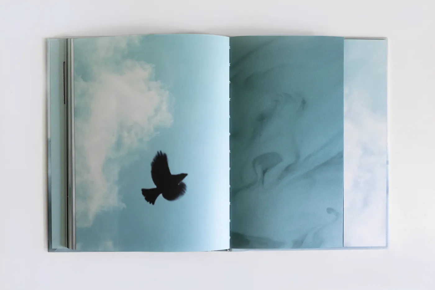 Doble página del libro: la silueta de un pájaro en vuelo sobre un cielo con nubes.