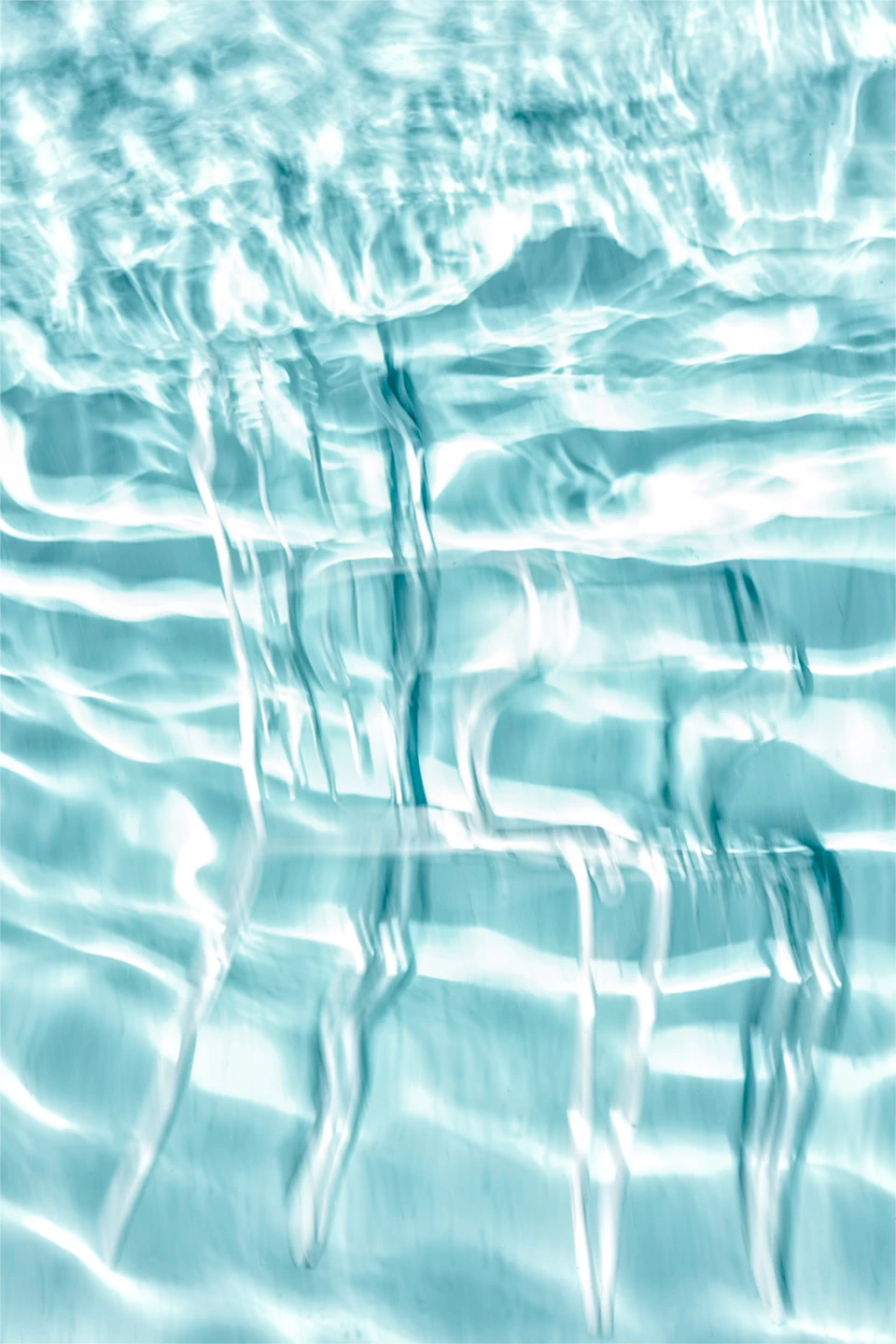 La memoria del agua — foto 3